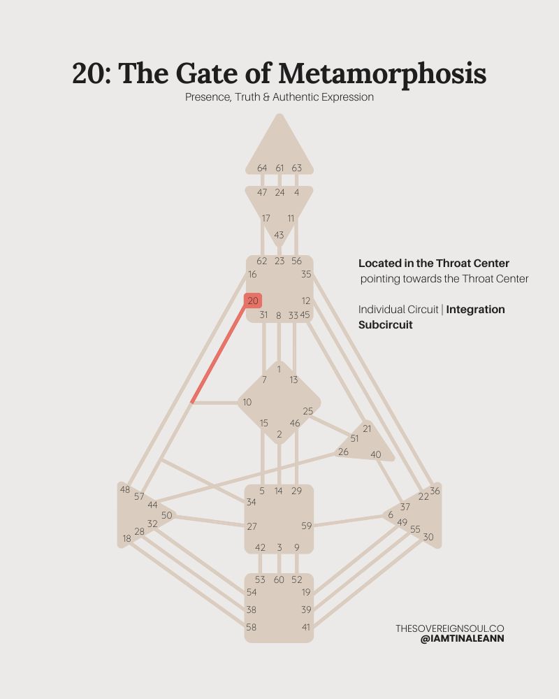 Gate 20, The Gate of Now, Contemplation, Channel 34 - 20, The Channel of Charisma, Human Design