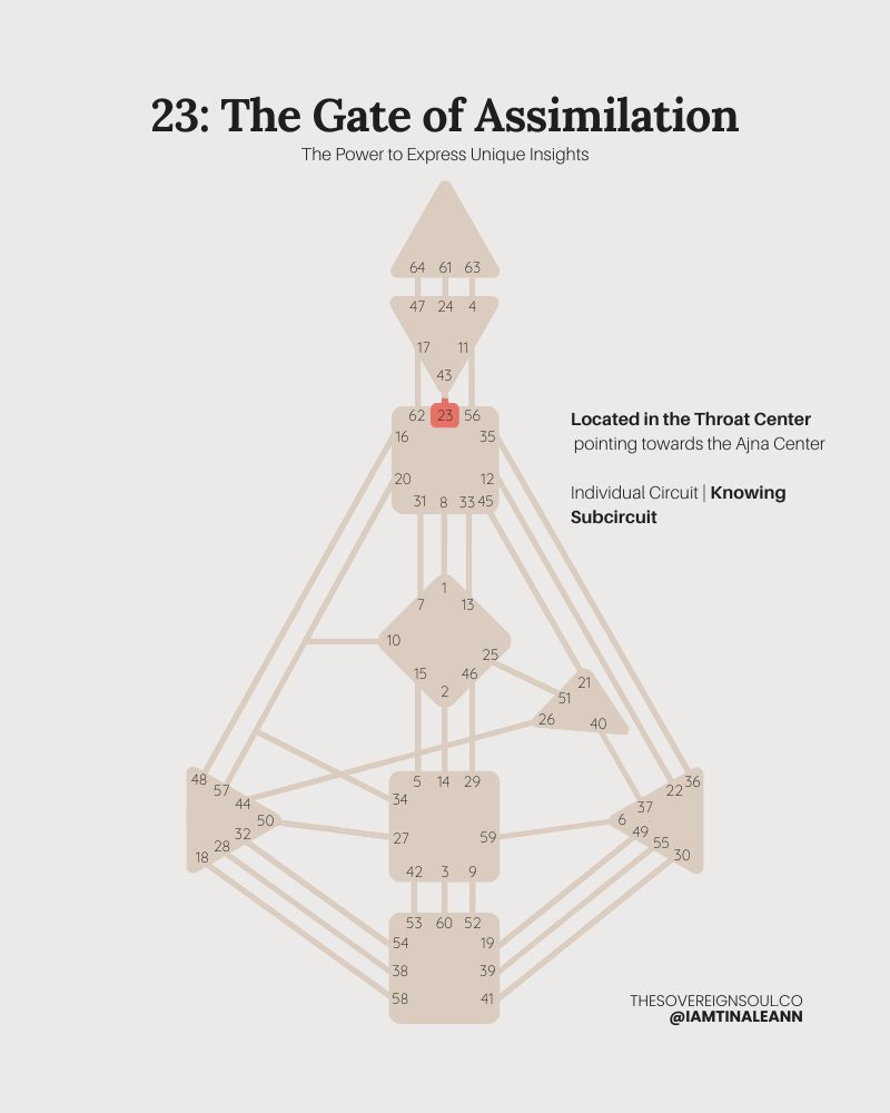 Gate 23, The Gate of Assimilation, Channel 43-23, Individual Circuit, Knowing Subcircuit