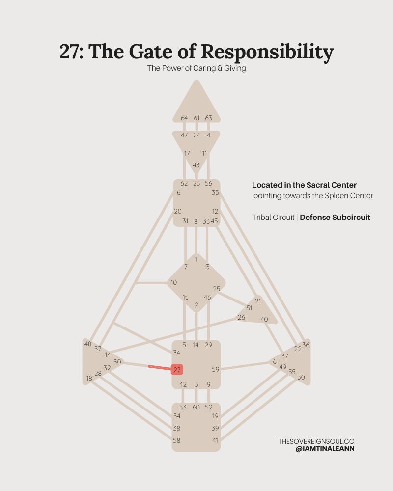 Gate 27, The Gate of Responsibility, Channel 27-50, Sacral Center, Spleen Center, Human Design, Tribal Circuit, Defense Subcircuit