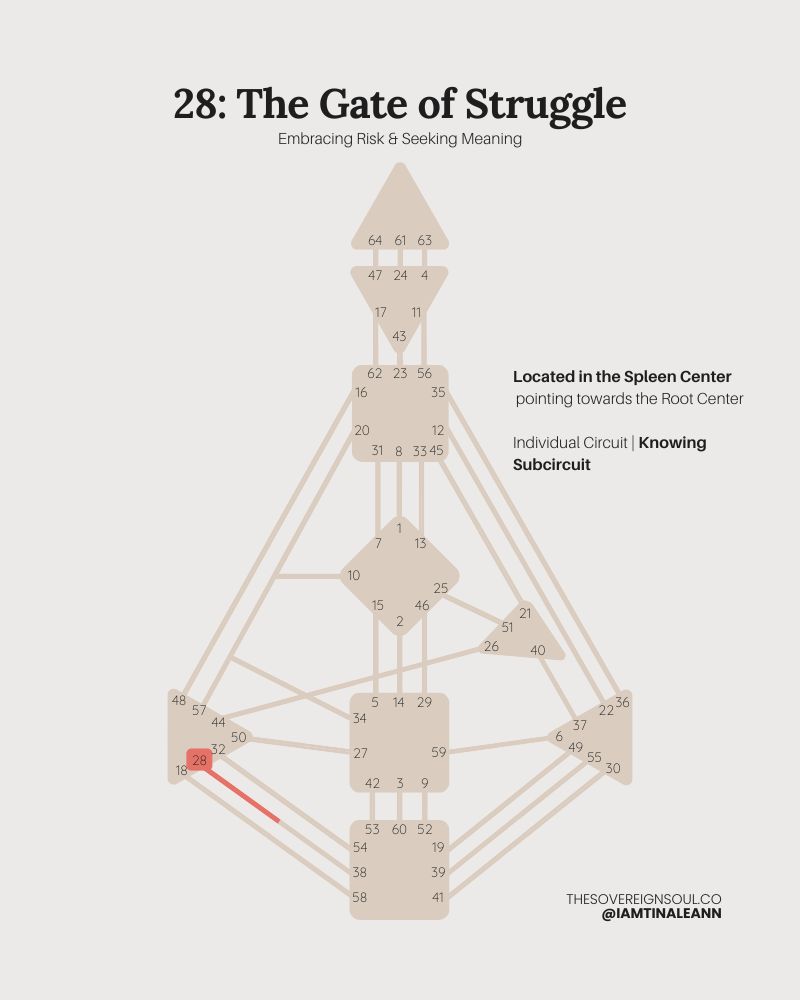 Gate 28, The Gate Struggle, Human Design, Channel 28-38, Spleen Center, Root Center, Inidivdual Circuit, Knowing Subcircuit