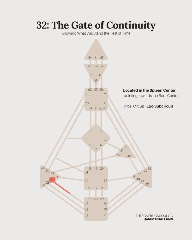 Gate 32, The Gate of Continuity, Human Design, Channel 32-54, Spleen Center, Root Center, Trail Circuit, Ego Subcircuit