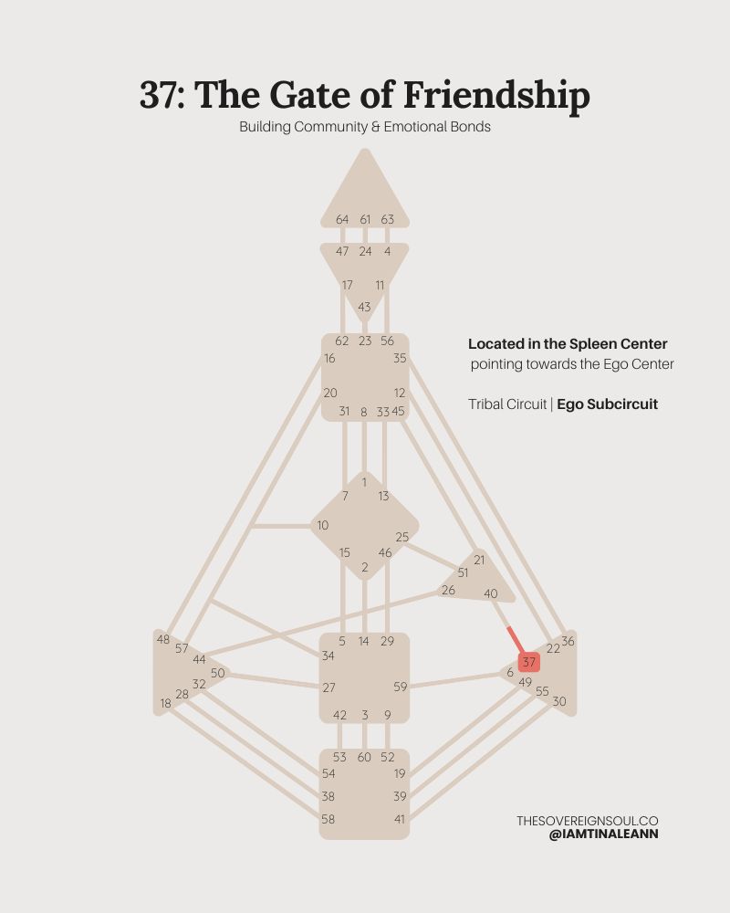 Gate 37, The Gate of Friendship, Channel 37-40, Ego Center, Emotional Solar Plexus, Tribal Circuit, Ego Subcircuit, Human Design