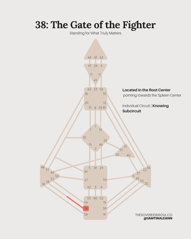 Gate 38, The Gate of the Fighter, Channel 38-28, Individual Circuit, Knowing Subcircuit, HUman Design, Root Center, Spleen Center