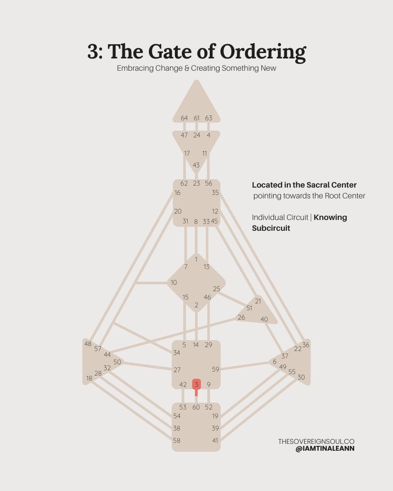 Gate 3, The Gate of Ordering, Human Design, Channel 3-60