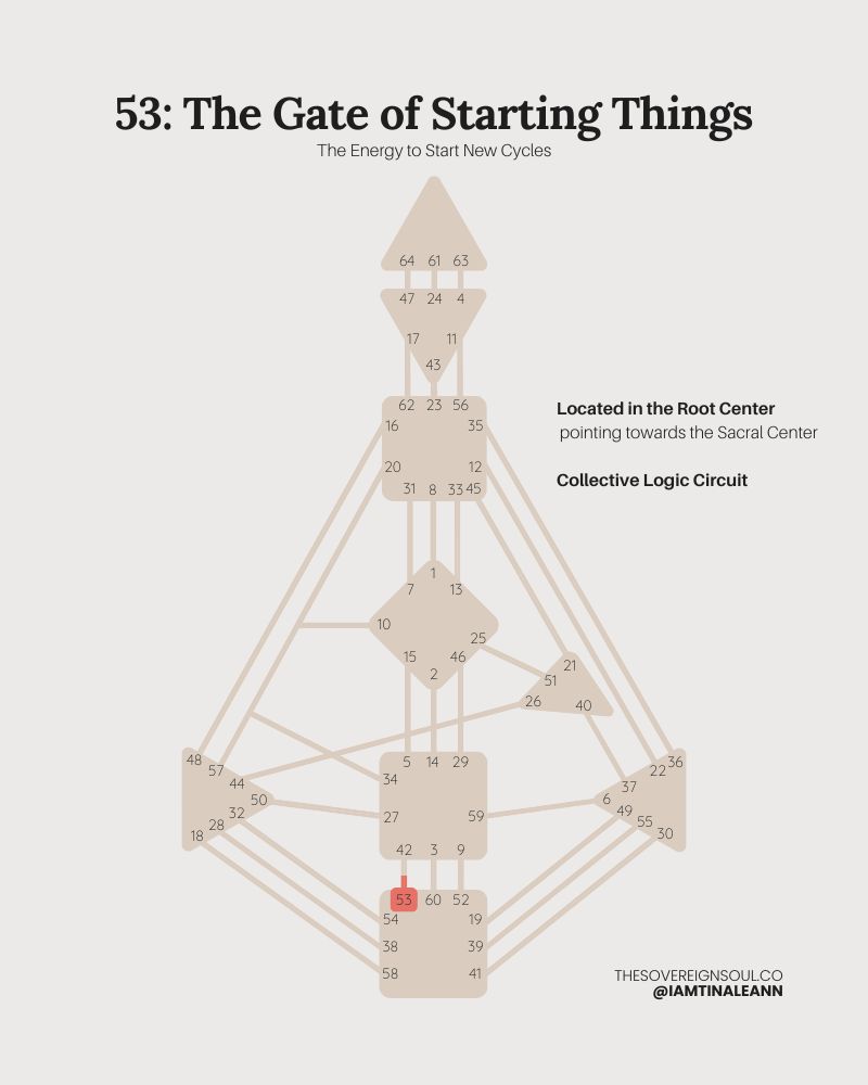 Gate 53, The Gate of Starting Things, Channel 53-42, The Collective Sensing Circuit, Human Design, Sacral Center, Root Center