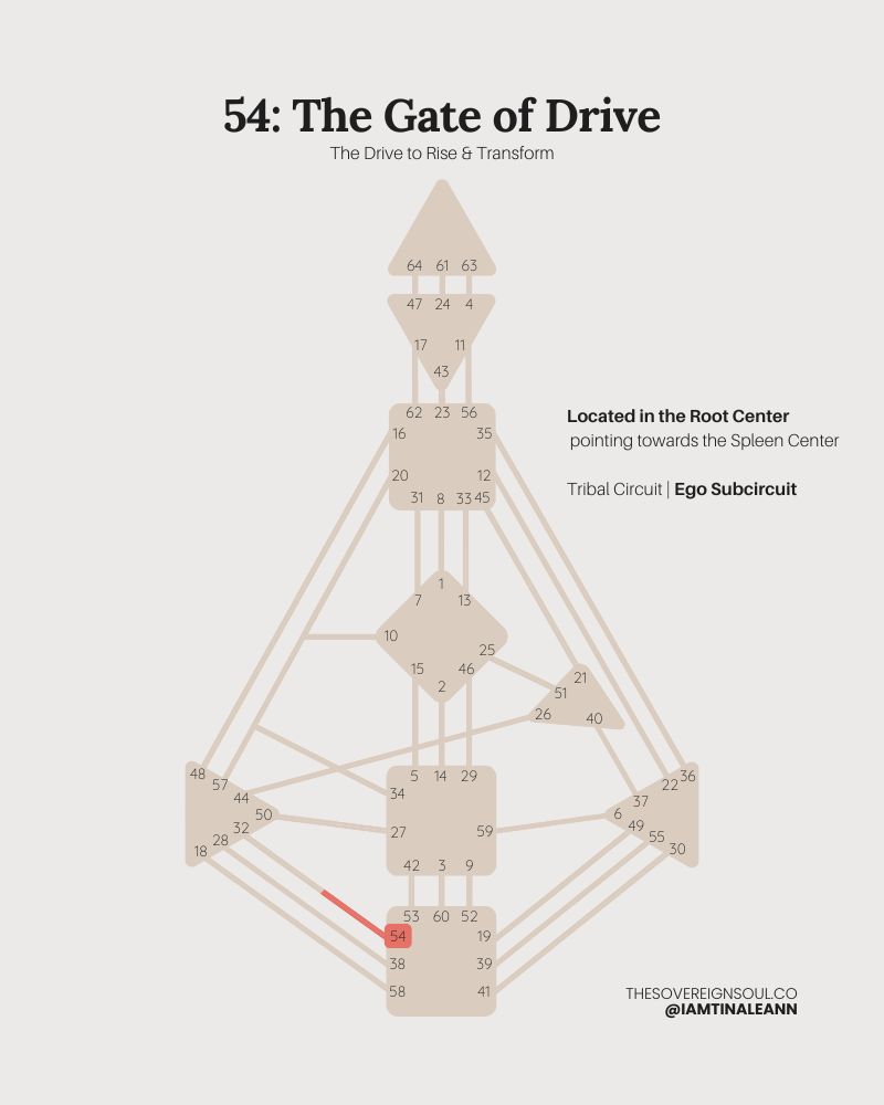 Gate 54, The Gate of Drive, Channel 54-32, The Tribal Circuit, Ego Subcircuit, Human Design