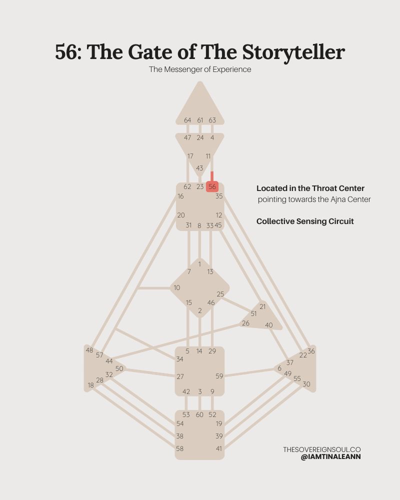 Gate 56, The Gate of the Storyteller, Channel 56-11, The Collective Sensing Circuit, Human Design, Ajna Center, Throat Center