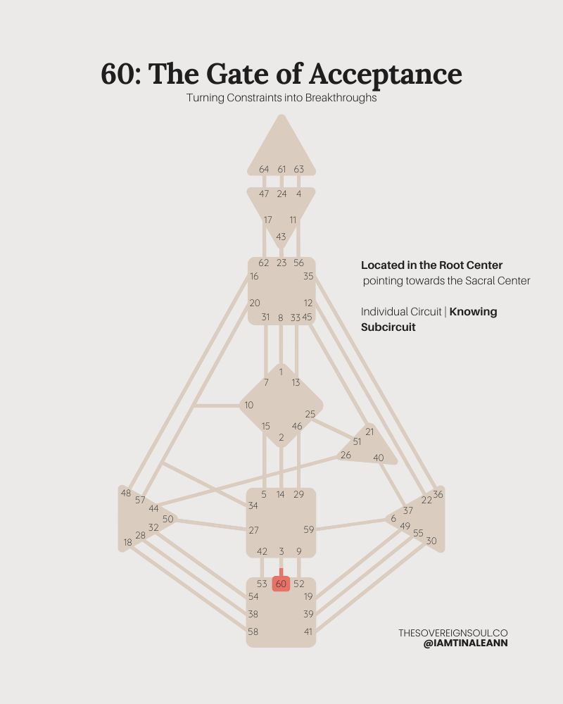 Gate 60, The Gate of Acceptance, Channel 3-60, Individual Circuit, Knowing Subcircuit, Root Center, Sacral Center, Huamn Design