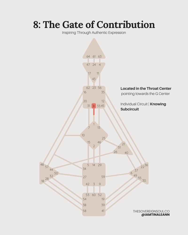 Gate 8, The Gate of Contribution, Channel 1-8, Human Design