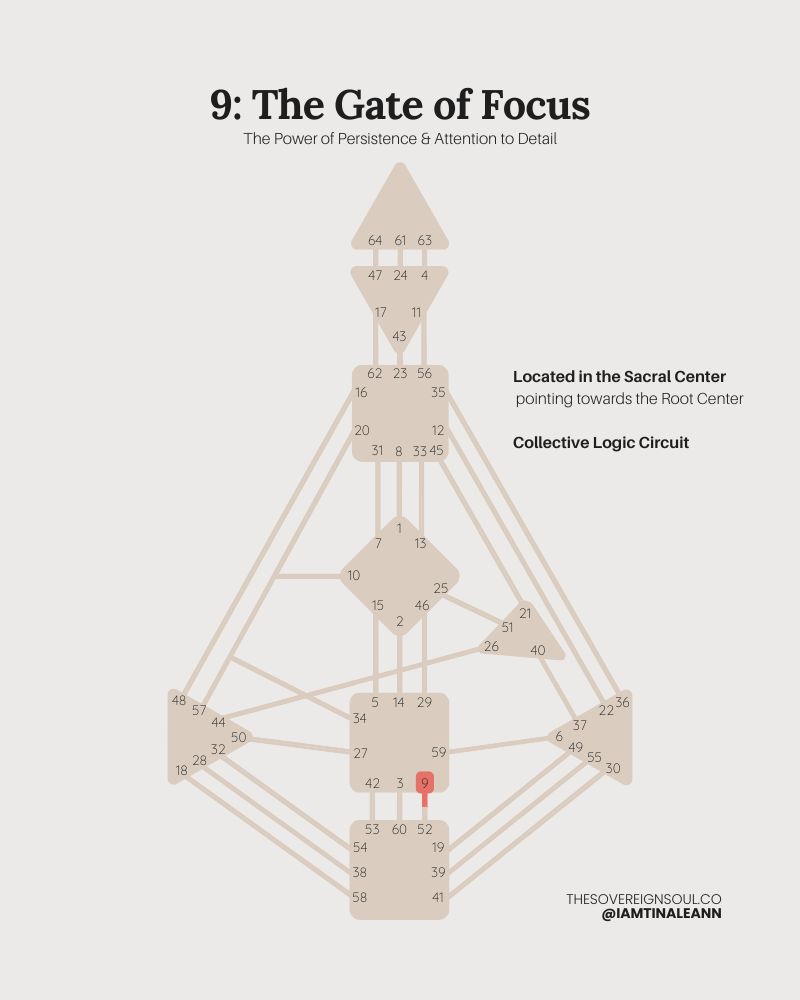 Gate 9, The Gate of Focus, Channel 52-9, Human Design