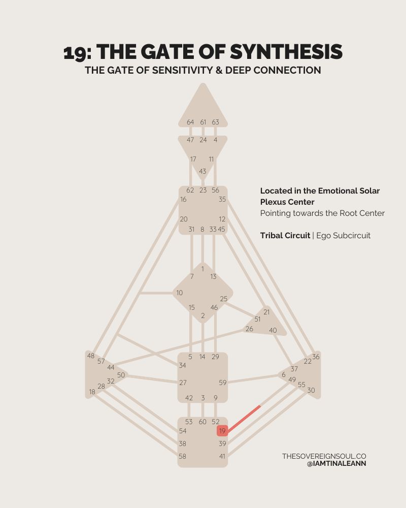 Gate 19, The Gate of Synthesis, The Gate of Wanting, Approach, Human Design