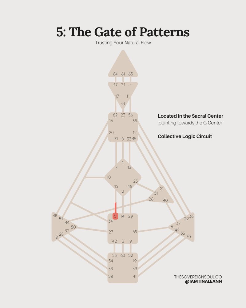 Gate 5, The Gate of Patterns, The Gate of Waiting, human Design