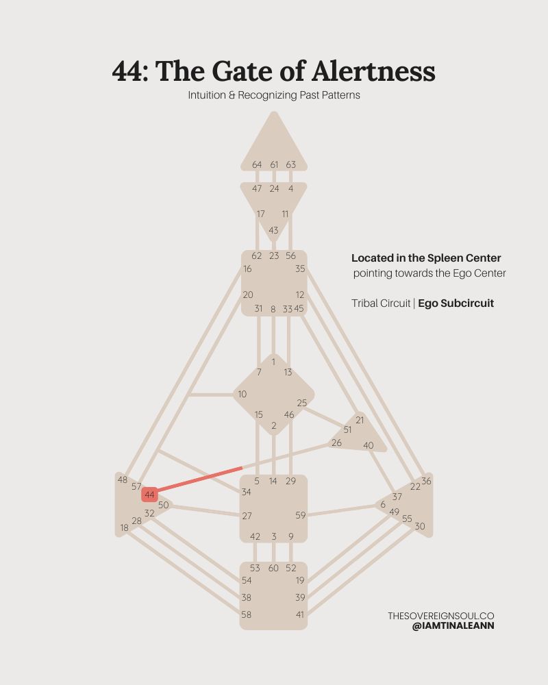 Gate 44, The Gate of Alertness, Coming to Meet, Human Design