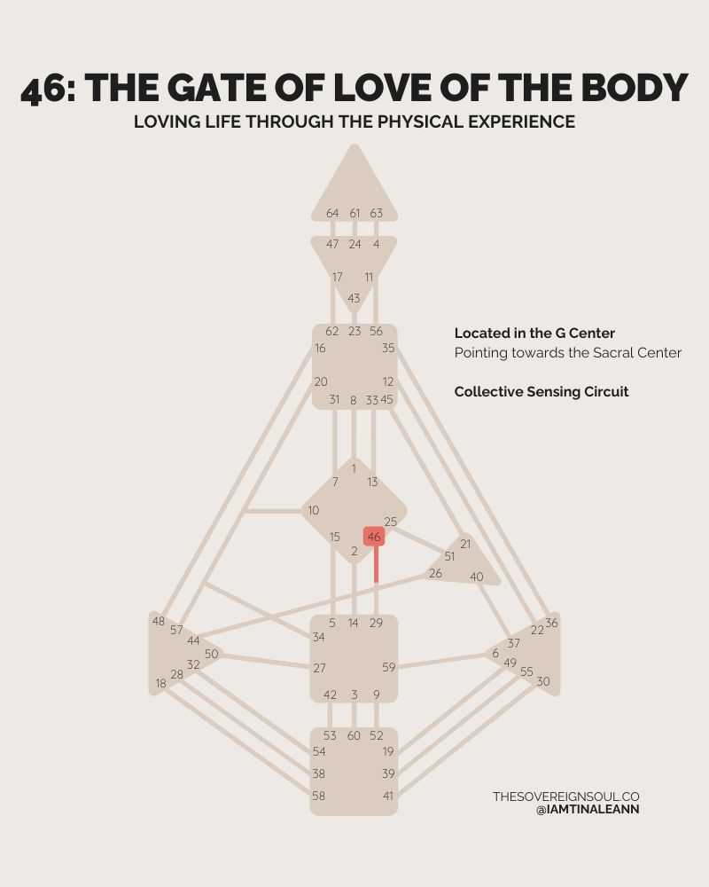 Gate 46, The Gate of Love of the Body, Channel 46-29, Collective Sensing Circuit, G Center, Sacral Center, Human Design