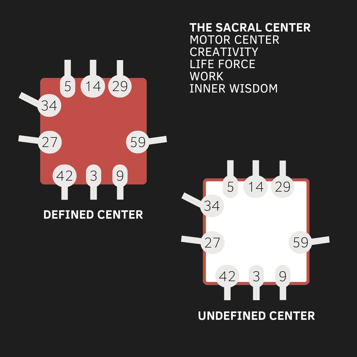 Sacral Center, Human Design