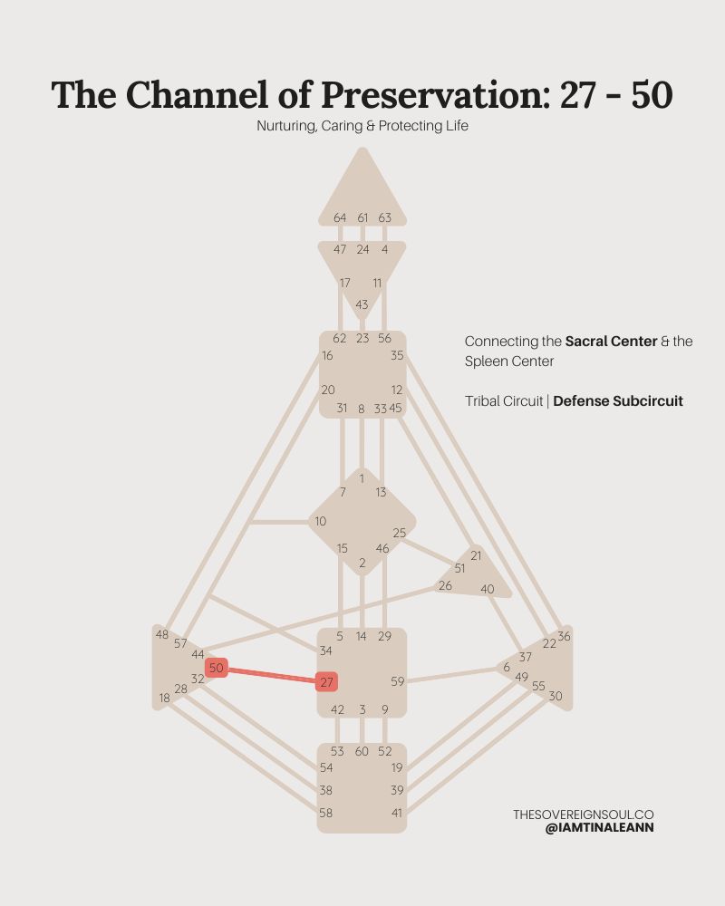 Channel 27-50, The Channel of Preservation, Human Design, Gate 27, Gate 50