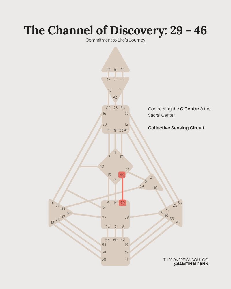 Channel 29-46, The Channel of Discovery, gate 29, Gate 46, Human Design