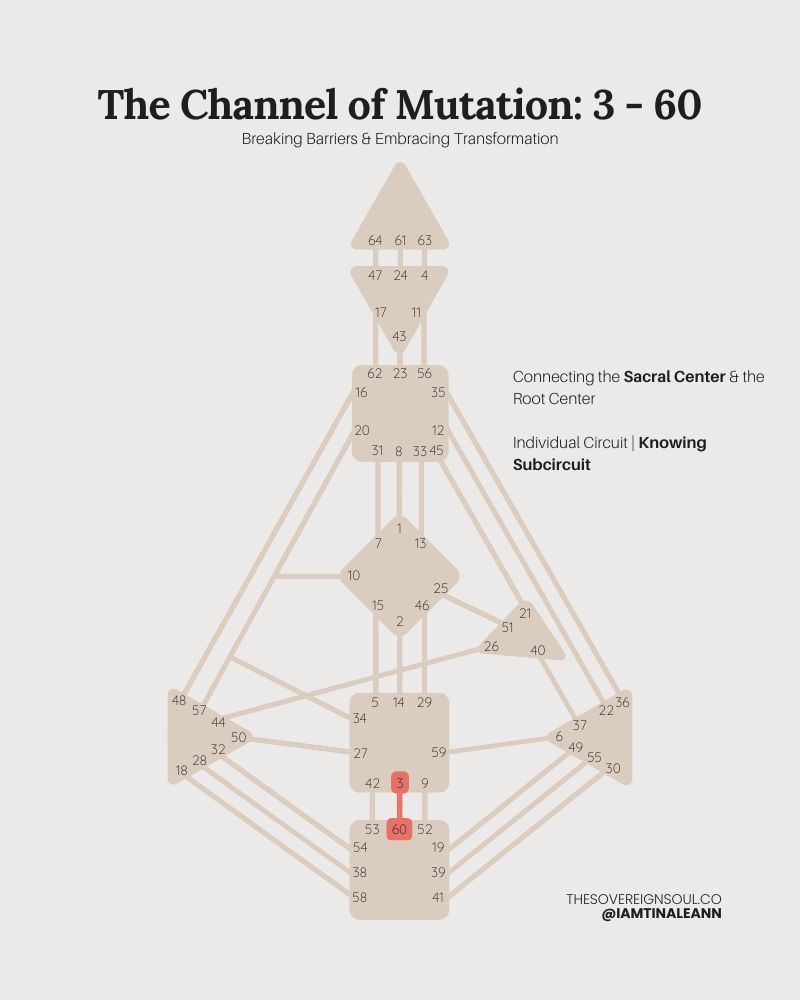 Channel 3-60, The Channel of Mutation, Gate 3, Gate 60, Human Design