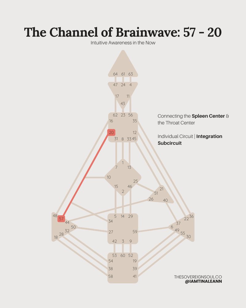 Channel 57-20, Channel of Brainwave, Gate 57, Gate 20, Human Design